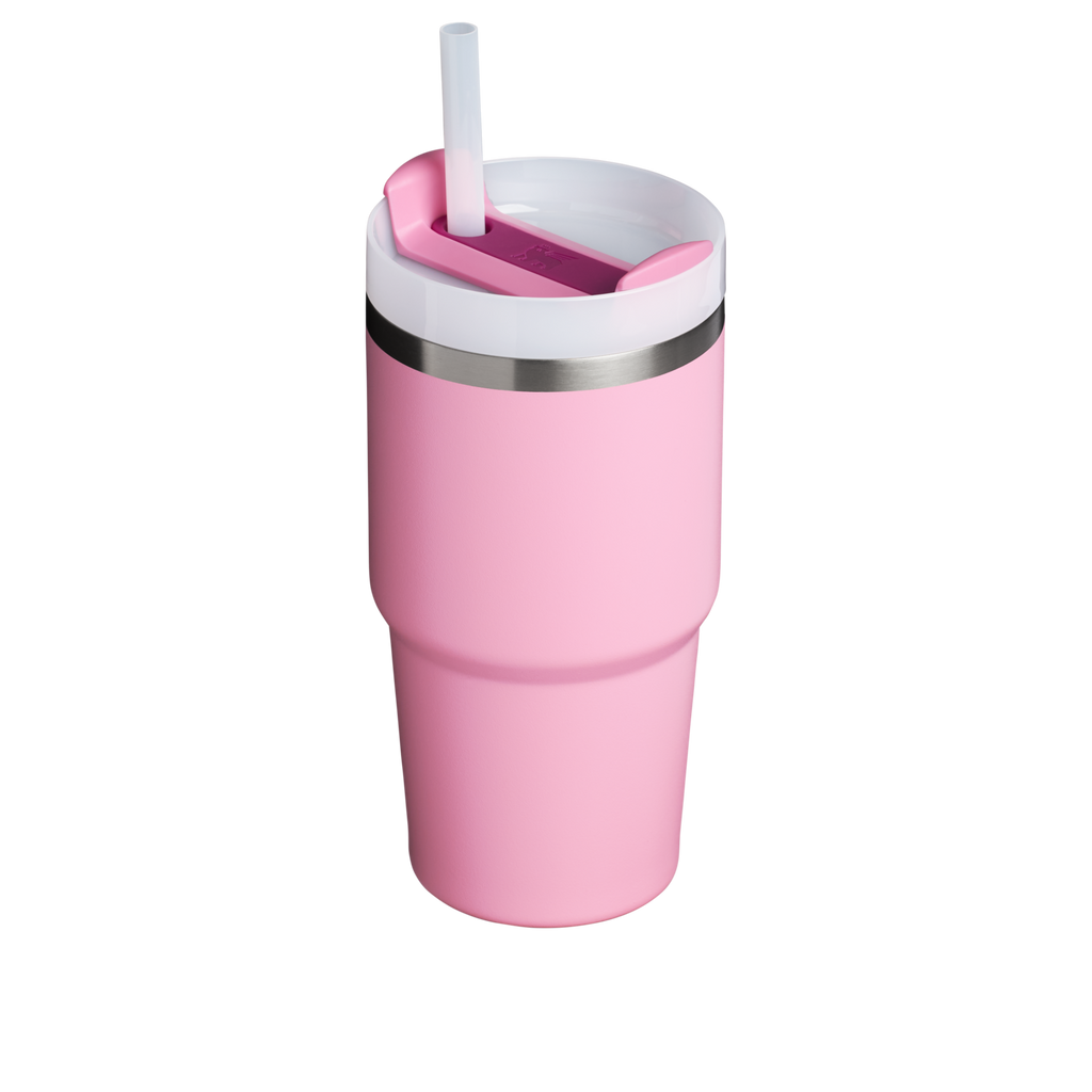 The Quencher H2.0 FlowState™ Tumbler | 20 OZ - Carry the Day