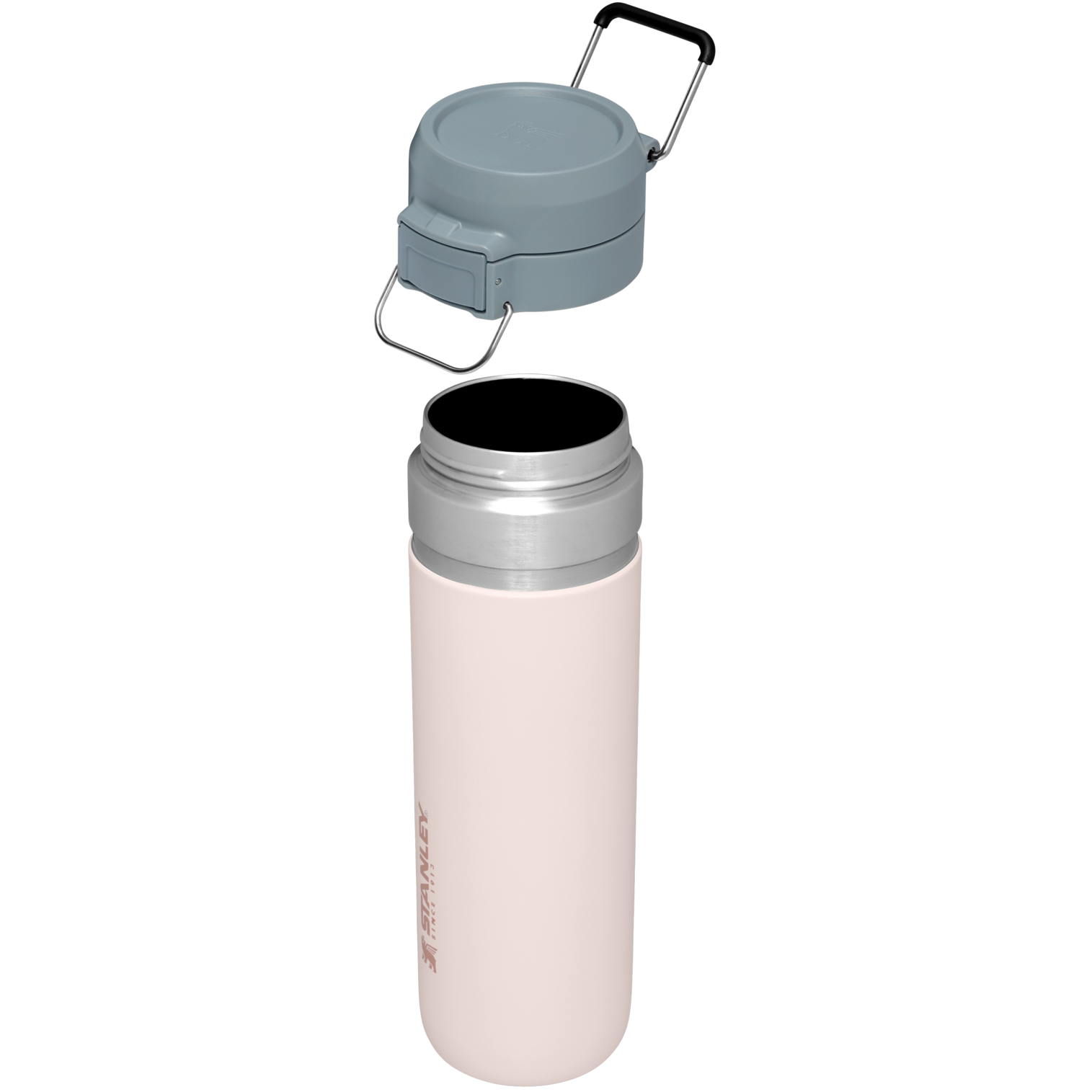 The Quencher H2.0 FlowState™ Tumbler | 20 OZ - Carry the Day