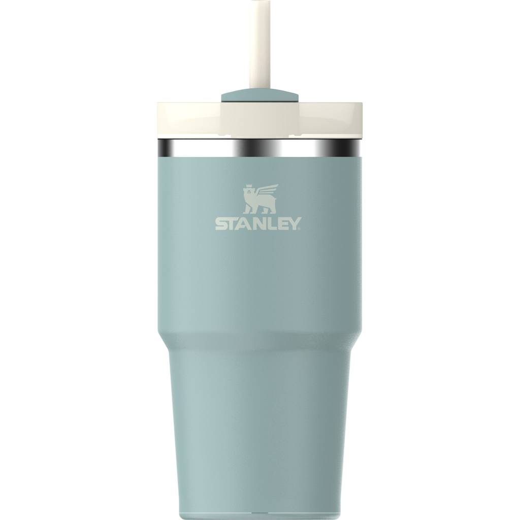 The Quencher H2.0 FlowState™ Tumbler | 20 OZ - Carry the Day