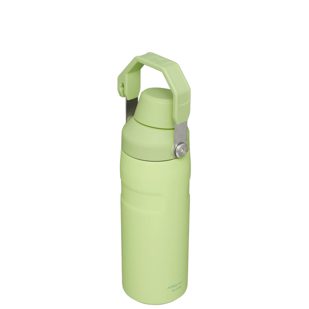 IceFlow™ Bottle with Fast Flow Lid | 16 OZ - Everyday Stanley Essential