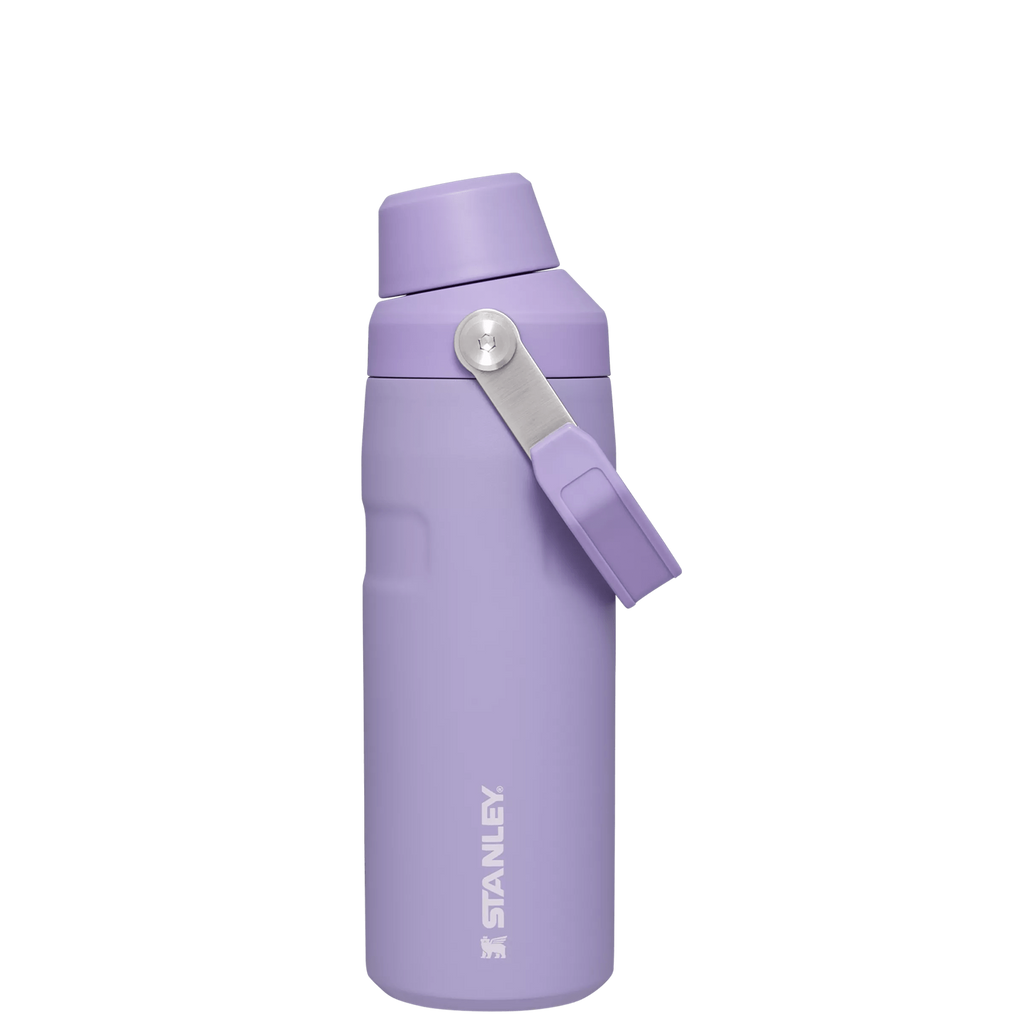 IceFlow™ Bottle with Fast Flow Lid | 16 OZ - Everyday Stanley Essential