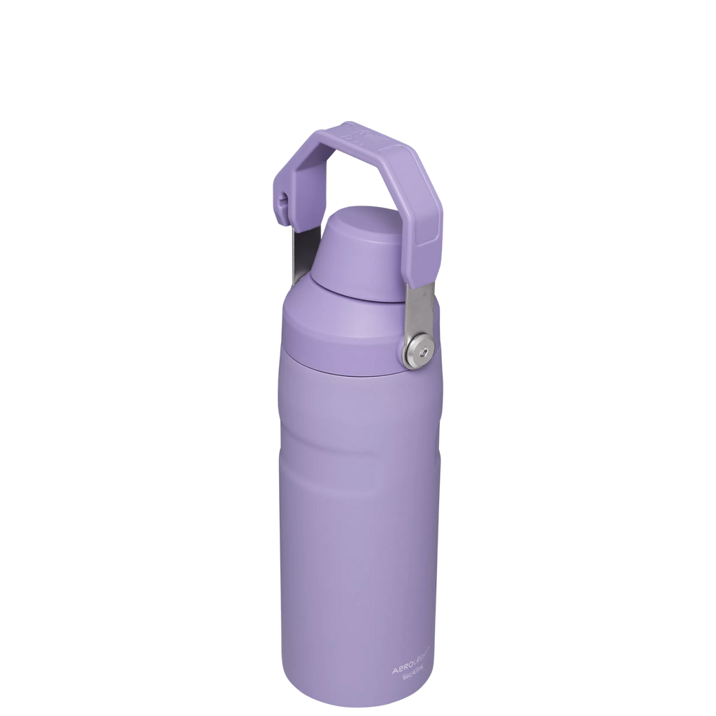 IceFlow™ Bottle with Fast Flow Lid | 16 OZ - Everyday Stanley Essential