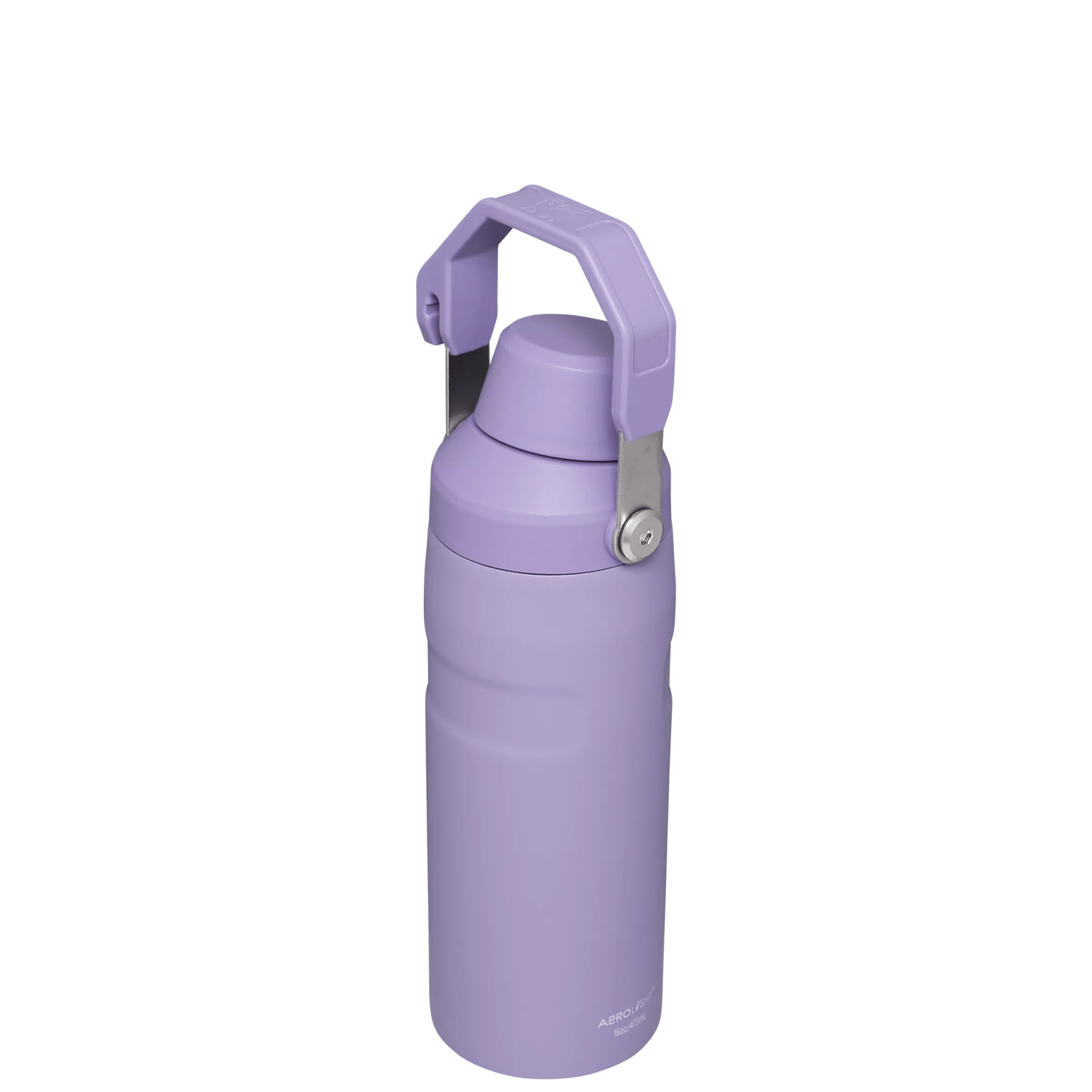 IceFlow™ Bottle with Fast Flow Lid | 16 OZ - Everyday Stanley Essential