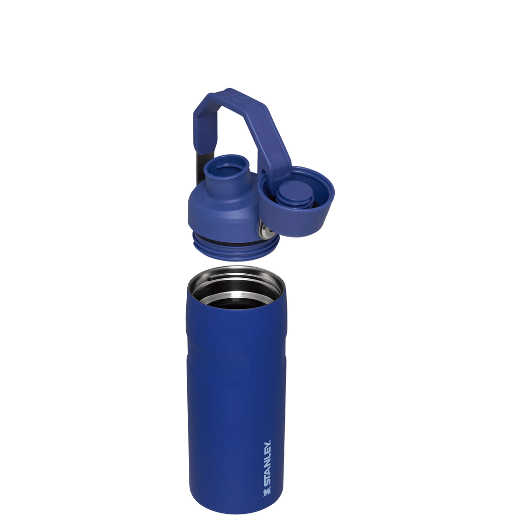 IceFlow™ Bottle with Fast Flow Lid | 16 OZ - Everyday Stanley Essential