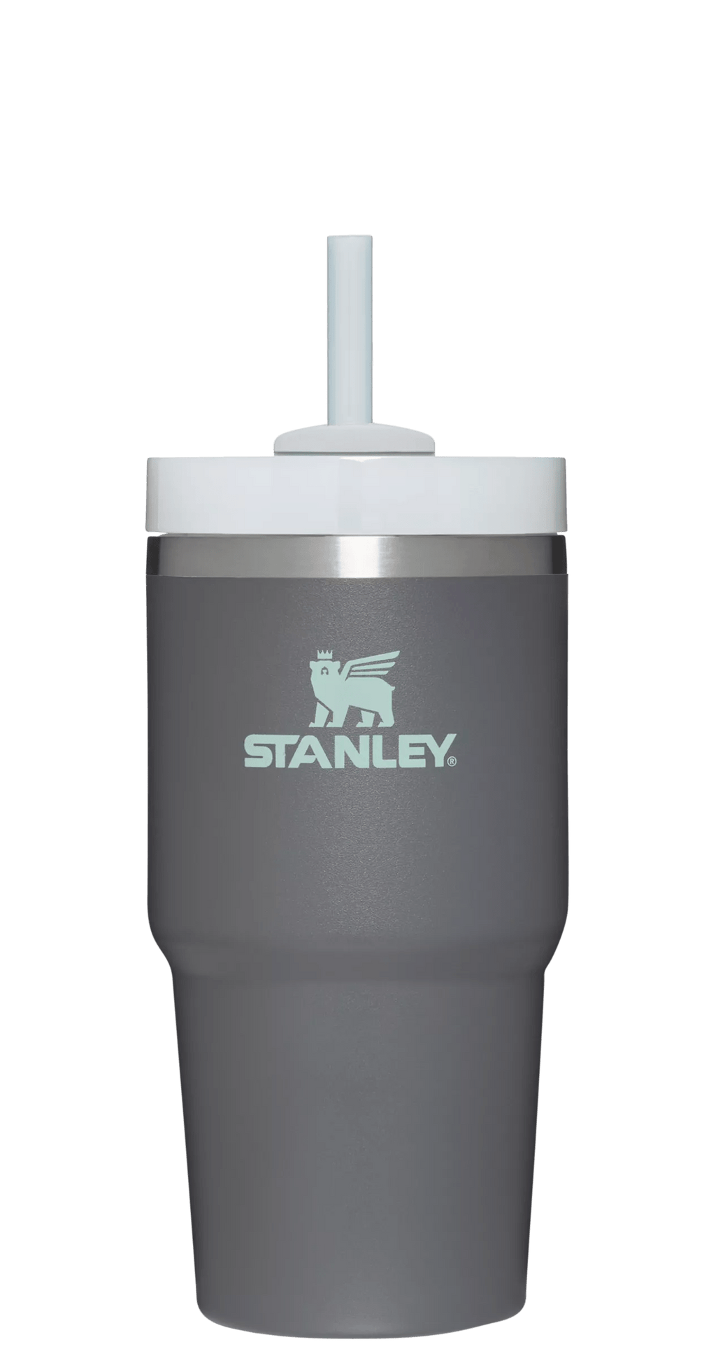 The Quencher H2.0 FlowState™ Tumbler | 20 OZ - Carry the Day