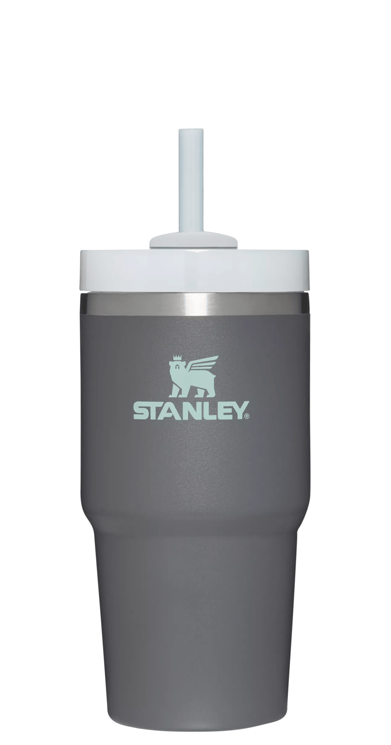 The Quencher H2.0 FlowState™ Tumbler | 20 OZ - Carry the Day