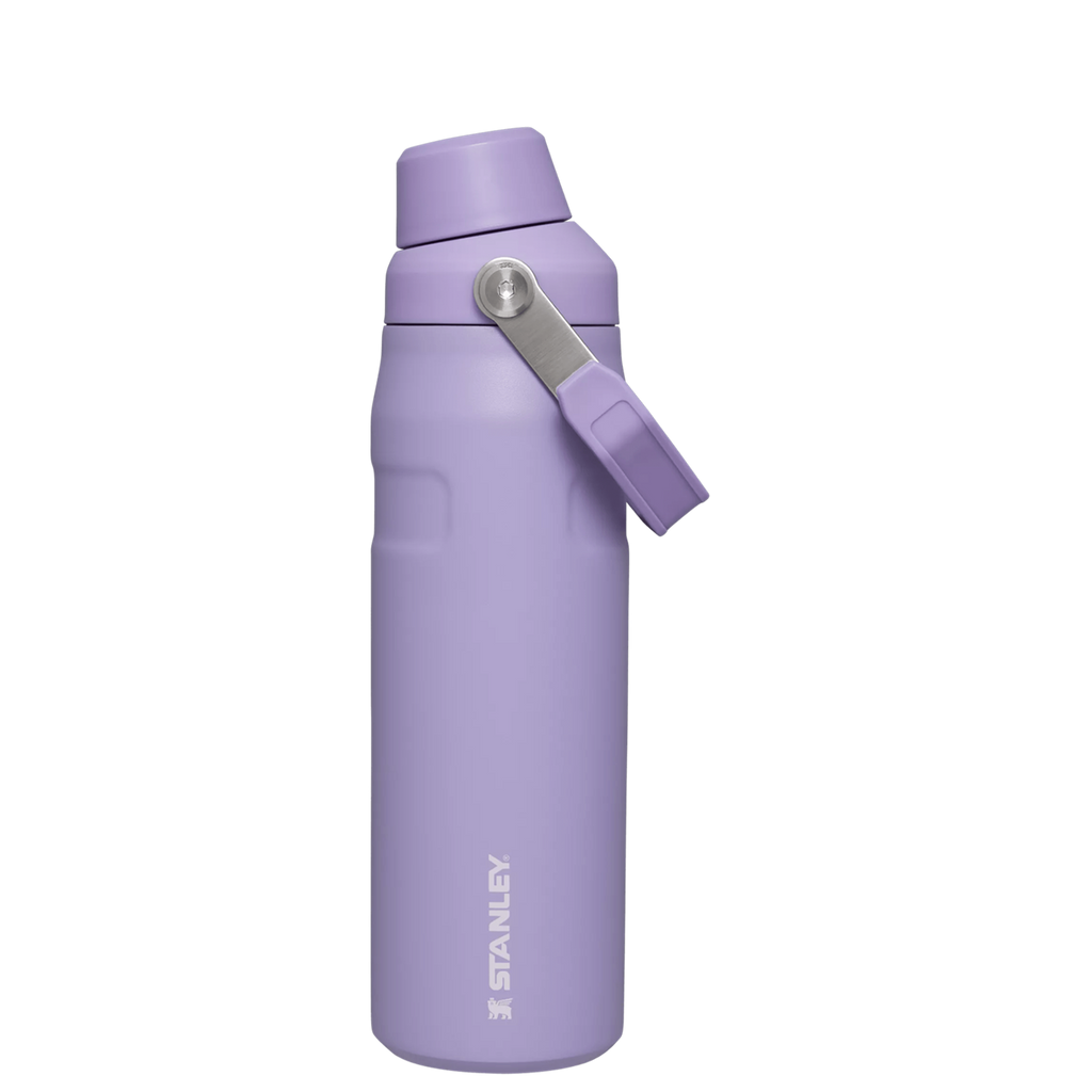 IceFlow™ Bottle with Fast Flow Lid | 24 OZ - Stanley Create - Ready for Any Day