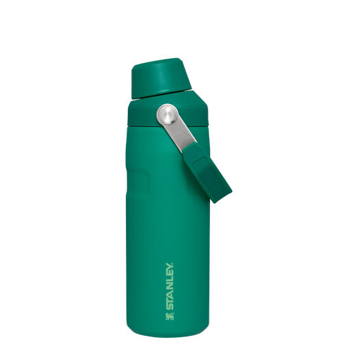 IceFlow™ Bottle with Fast Flow Lid | 16 OZ - Everyday Stanley Essential