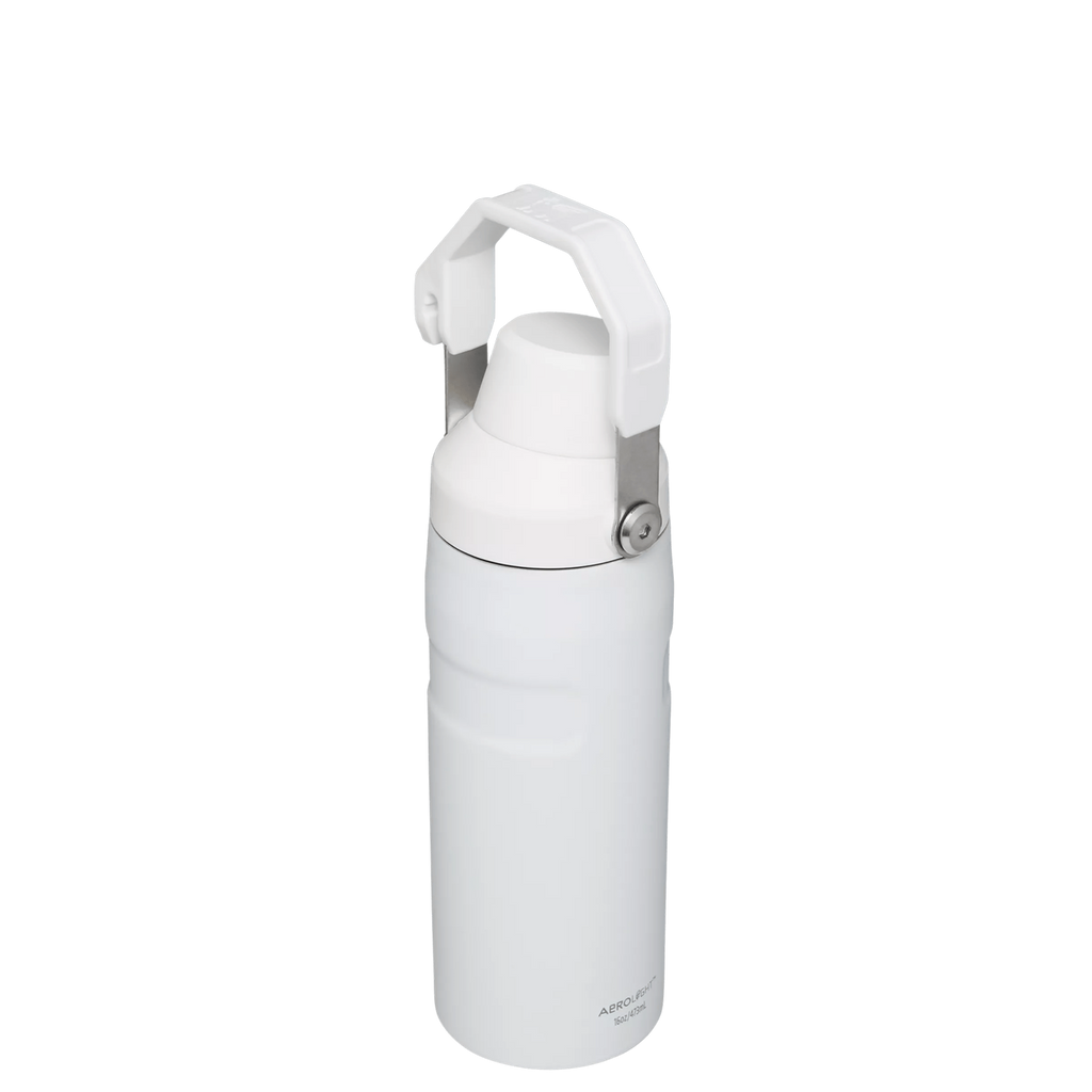 IceFlow™ Bottle with Fast Flow Lid | 16 OZ - Everyday Stanley Essential