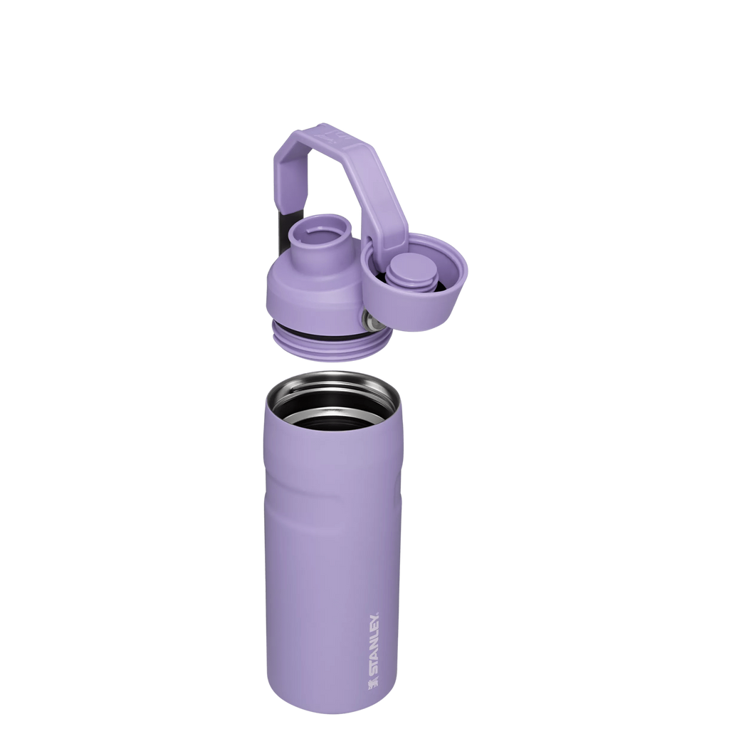 IceFlow™ Bottle with Fast Flow Lid | 16 OZ - Everyday Stanley Essential