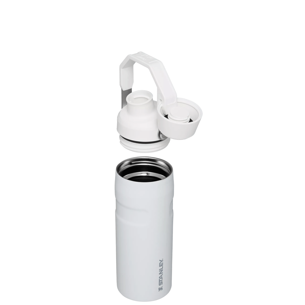 IceFlow™ Bottle with Fast Flow Lid | 16 OZ - Everyday Stanley Essential